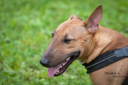 k-HVD Allgemeintraining 15-06-2024 29