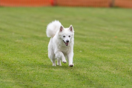 k-BSP 30-06-2024 008