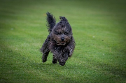 k-BSP 30-06-2024 013