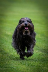 k-BSP 30-06-2024 014