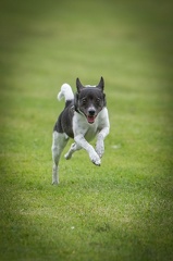 k-BSP 30-06-2024 016