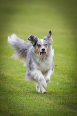 k-BSP 30-06-2024 023