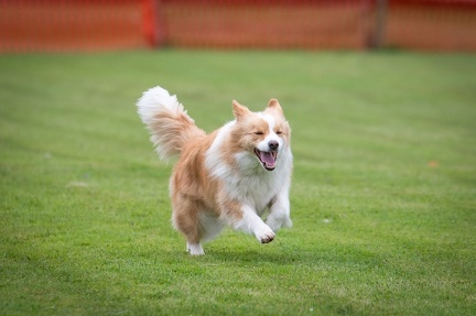 k-BSP 30-06-2024 027