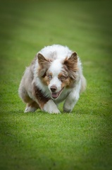 k-BSP 30-06-2024 030