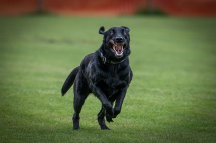 k-BSP 30-06-2024 038