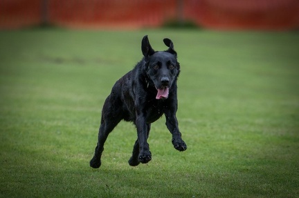 k-BSP 30-06-2024 039