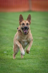 k-BSP 30-06-2024 043