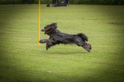 k-BSP 30-06-2024 052