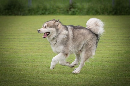 k-BSP 30-06-2024 078