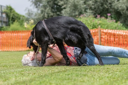 k-HVD Kurs 06-07-2024 006