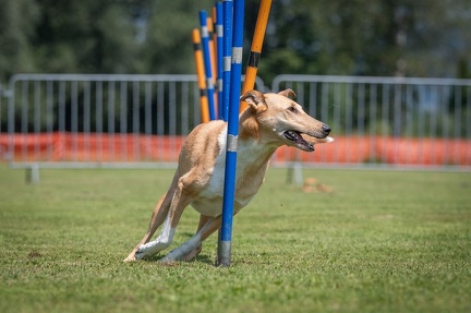 k-AGY Seminar 27-07-2024 03