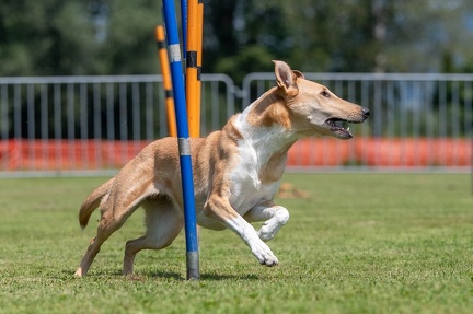 k-AGY Seminar 27-07-2024 05