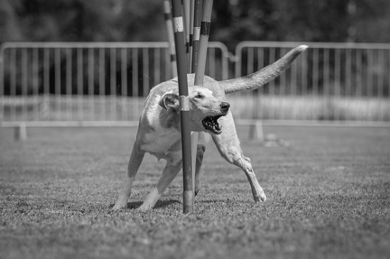 k-AGY Seminar 27-07-2024 07