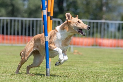 k-AGY Seminar 27-07-2024 08