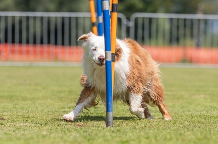 k-AGY Seminar 27-07-2024 11