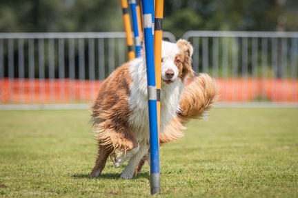 k-AGY Seminar 27-07-2024 10