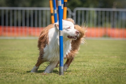 k-AGY Seminar 27-07-2024 13