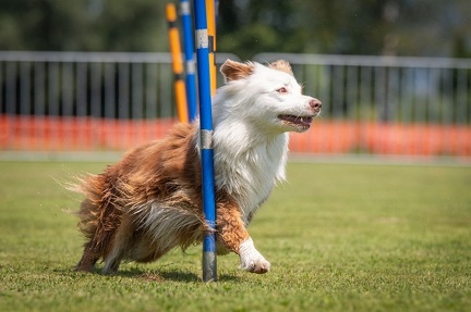 k-AGY Seminar 27-07-2024 14