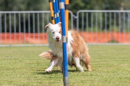 k-AGY Seminar 27-07-2024 15