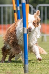 k-AGY Seminar 27-07-2024 17