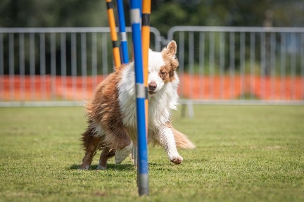 k-AGY Seminar 27-07-2024 16