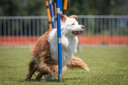 k-AGY Seminar 27-07-2024 20