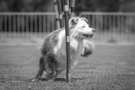 k-AGY Seminar 27-07-2024 19