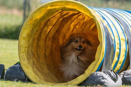 k-AGY Seminar 27-07-2024 22