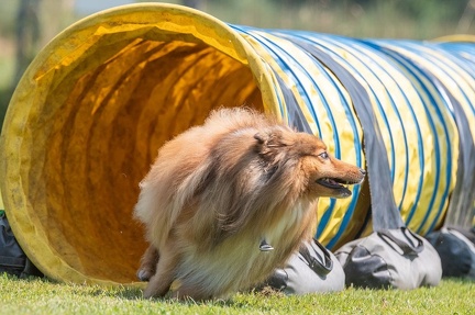 k-AGY Seminar 27-07-2024 23