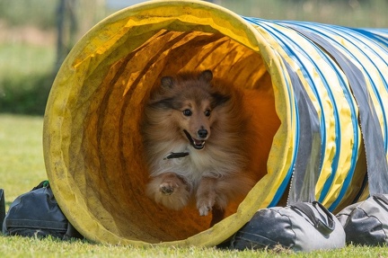 k-AGY Seminar 27-07-2024 24