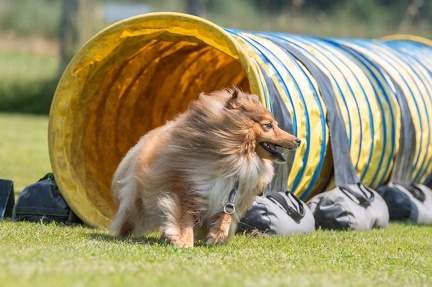 k-AGY Seminar 27-07-2024 25