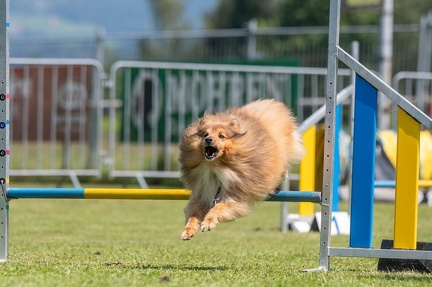 k-AGY Seminar 27-07-2024 26