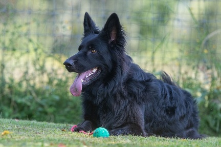 k-HVD Kurs 27-07-2024 06