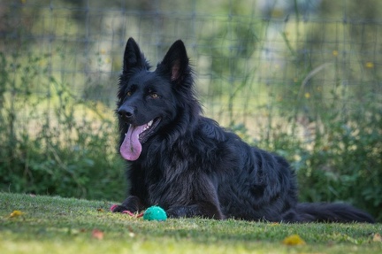 k-HVD Kurs 27-07-2024 07