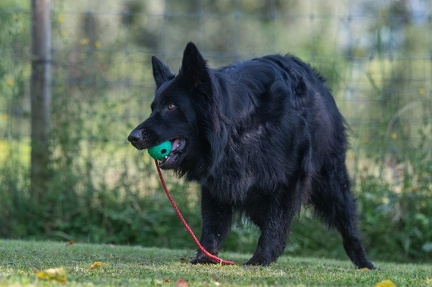 k-HVD Kurs 27-07-2024 08