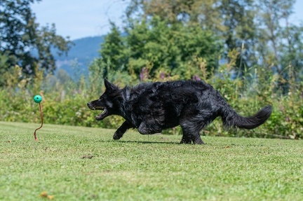 k-HVD Kurs 27-07-2024 10