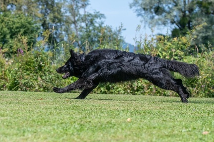 k-HVD Kurs 27-07-2024 09