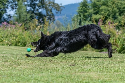 k-HVD Kurs 27-07-2024 11