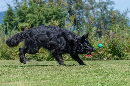 k-HVD Kurs 27-07-2024 13