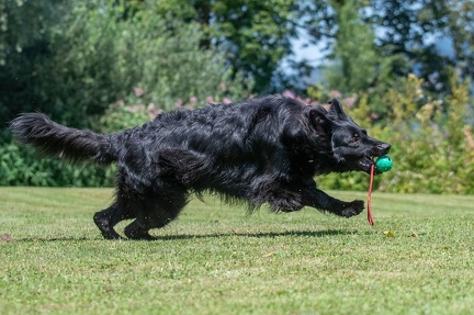 k-HVD Kurs 27-07-2024 12