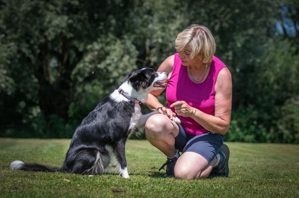 k-HVD Kurs 27-07-2024 23