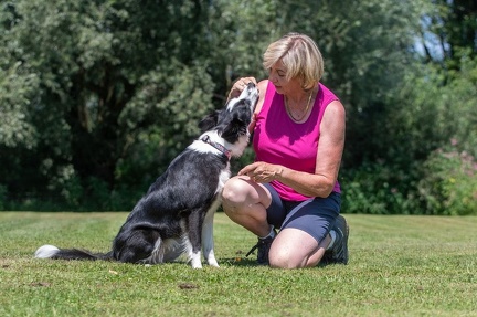 k-HVD Kurs 27-07-2024 22