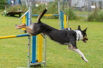 k-AGY Seminar 28-07-2024 08