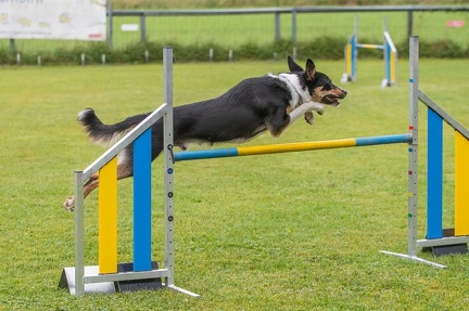 k-AGY Seminar 28-07-2024 12