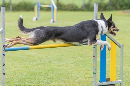 k-AGY Seminar 28-07-2024 14