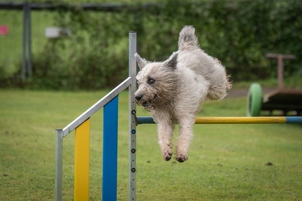 k-AGY Seminar 28-07-2024 18