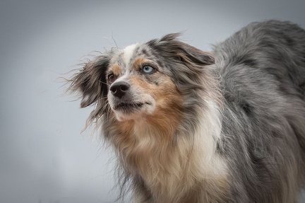 k-AGY Seminar 28-07-2024 20