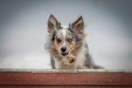 k-AGY Seminar 28-07-2024 23