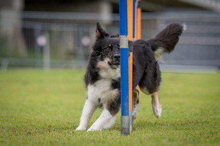 k-AGY Seminar 28-07-2024 32