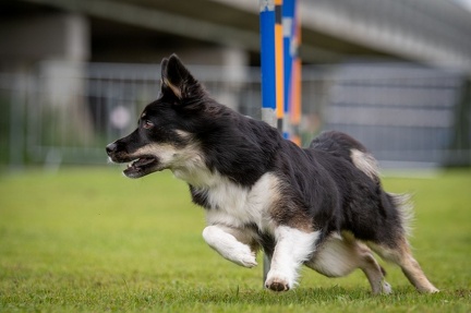 k-AGY Seminar 28-07-2024 35